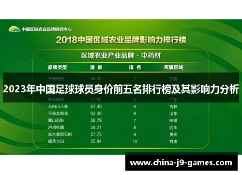 2023年中国足球球员身价前五名排行榜及其影响力分析