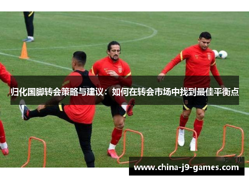 归化国脚转会策略与建议：如何在转会市场中找到最佳平衡点