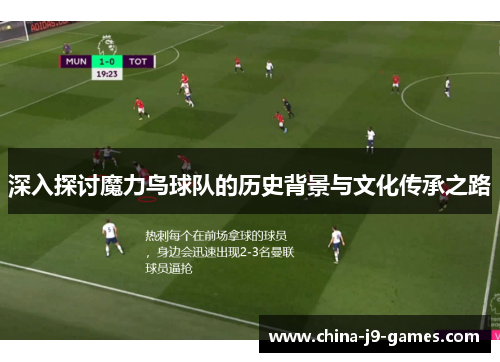深入探讨魔力鸟球队的历史背景与文化传承之路
