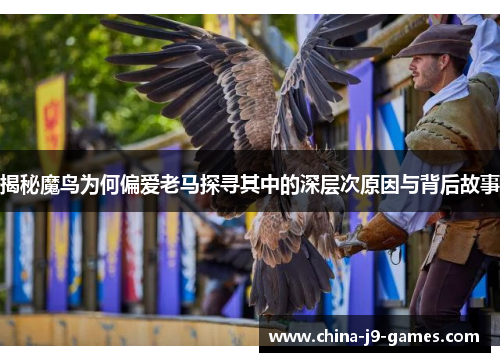 揭秘魔鸟为何偏爱老马探寻其中的深层次原因与背后故事