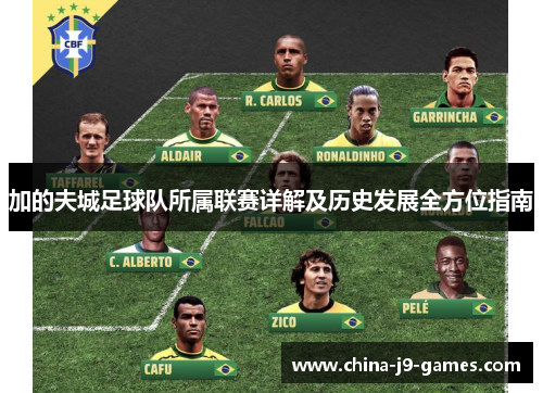 加的夫城足球队所属联赛详解及历史发展全方位指南 加的夫城足球队所属联赛详解及历史发展全方位指南