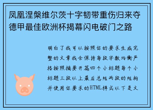 凤凰涅槃维尔茨十字韧带重伤归来夺德甲最佳欧洲杯揭幕闪电破门之路